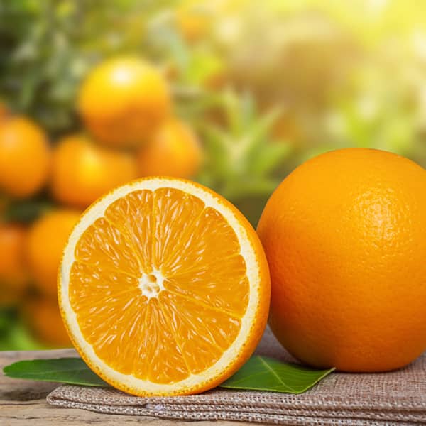 مزایای پرتقال برای مغز