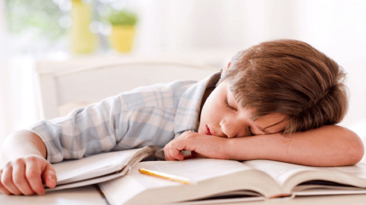 تأثیر جدی خواب بر یادگیری