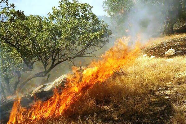 مراتع طالقان در آتش سوخت
