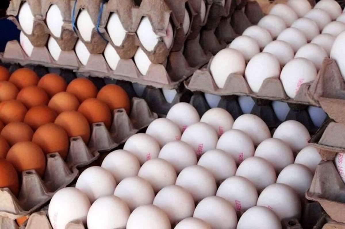 قیمت تخم مرغ امروز ۲۷ فروردین ۱۴۰۳