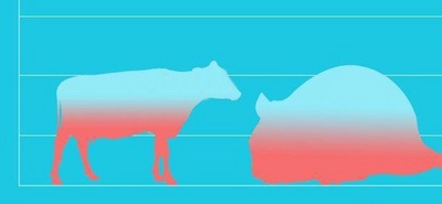 احتمال تبدیل شدن موش‌ها به ابر جوندگانی در اندازه یک گاو