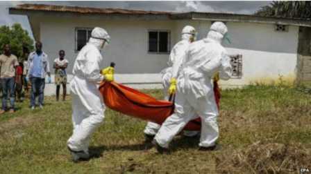 سایه رمالان افریقایی بر ابولا/ ابولا چگونه وارد کشور می شود
